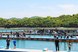 釣堀体験プラン